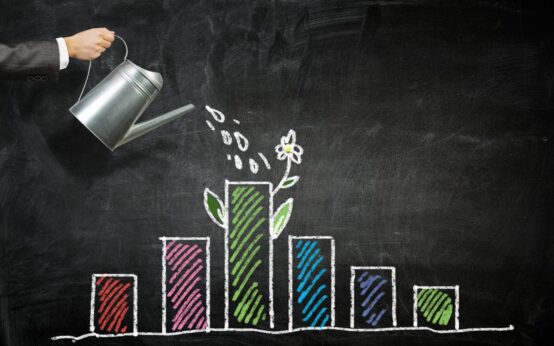 PROTECTING YOUR INVESTMENT